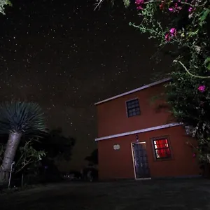 Apartamento Bodega Goyo 